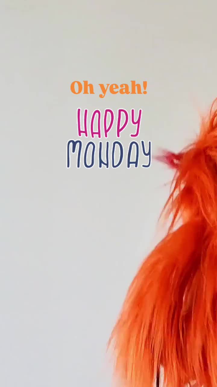 @Moni Love