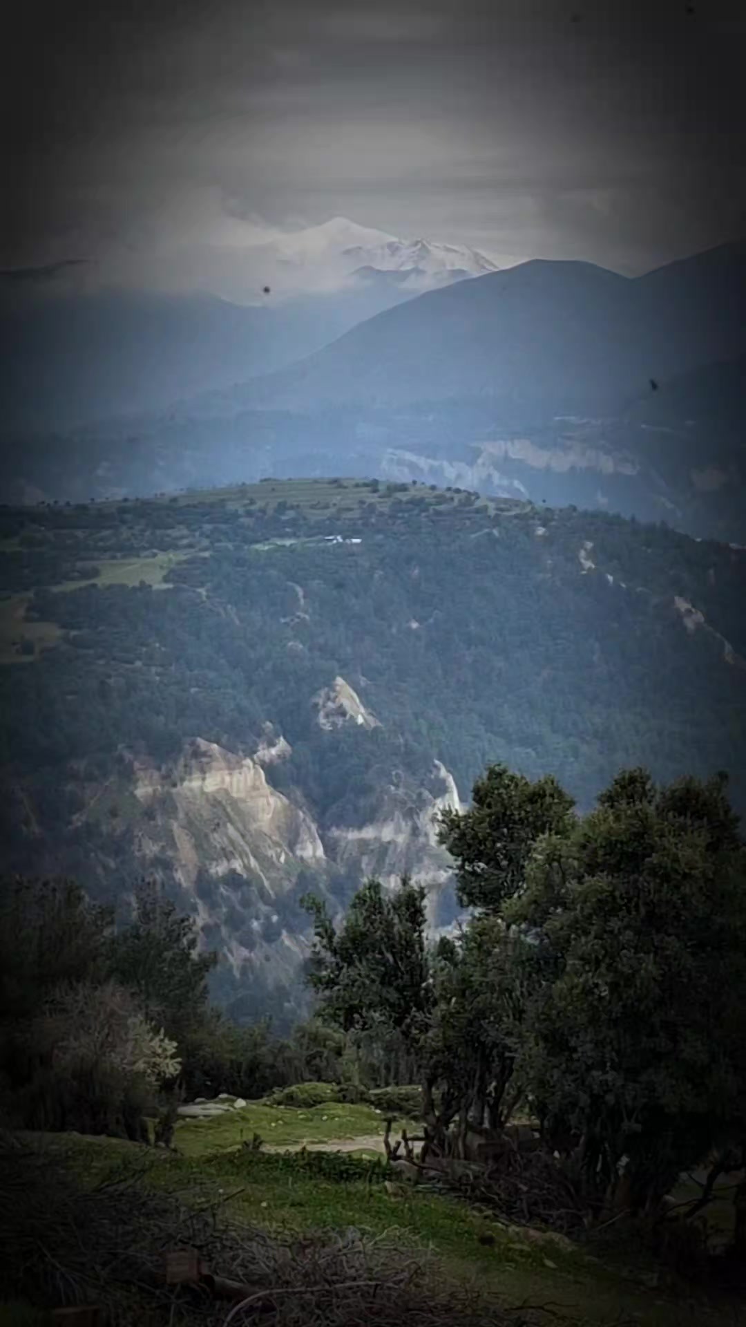 @sultan Şen