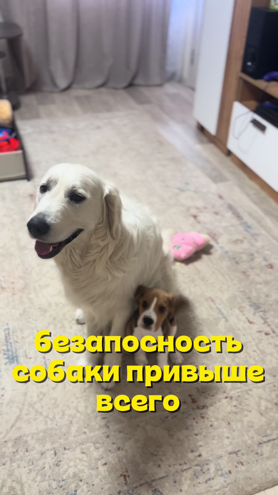 @𐔤ɯᥲᥴⲧыύ ⲙᥲρ᥈υ🥏