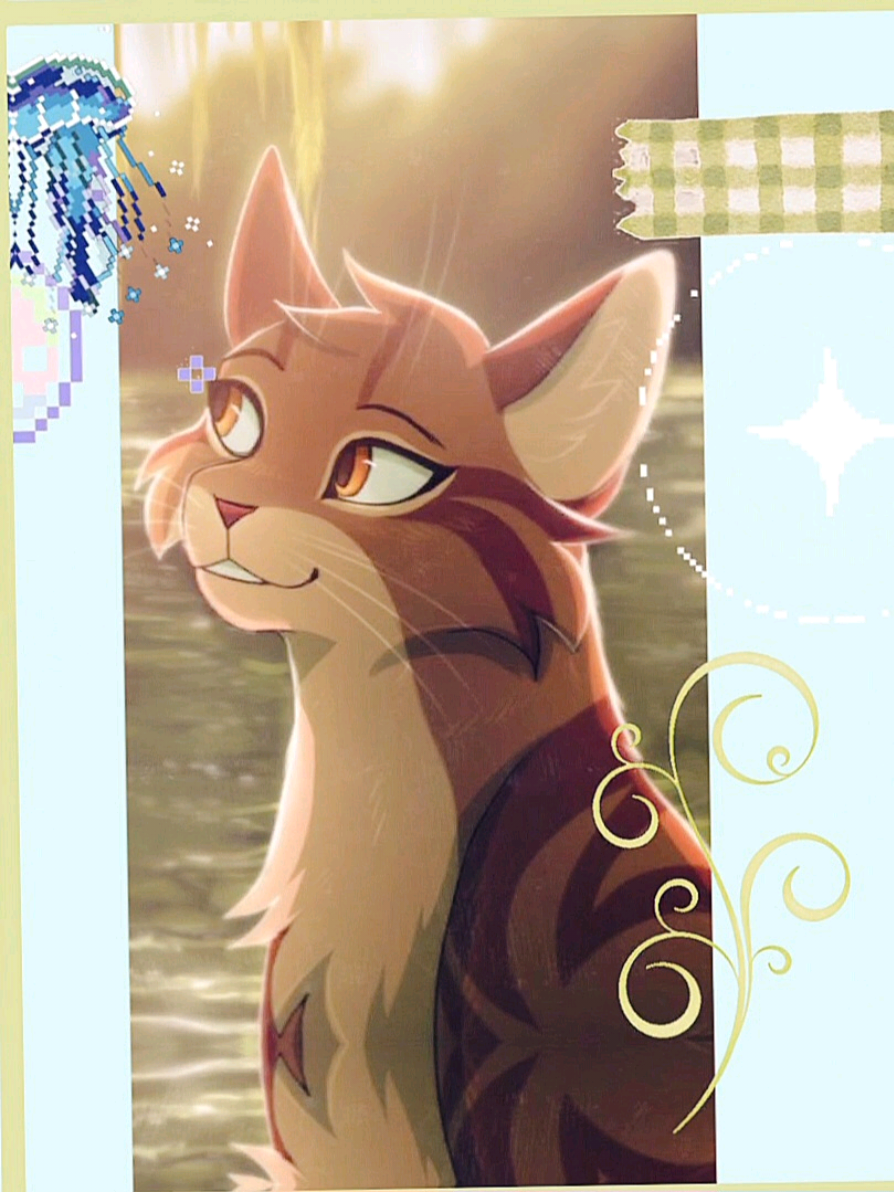 @★ 𝐦𝐱𝐩𝐥𝐞𝐪𝐮𝐞𝐞𝐧 ★