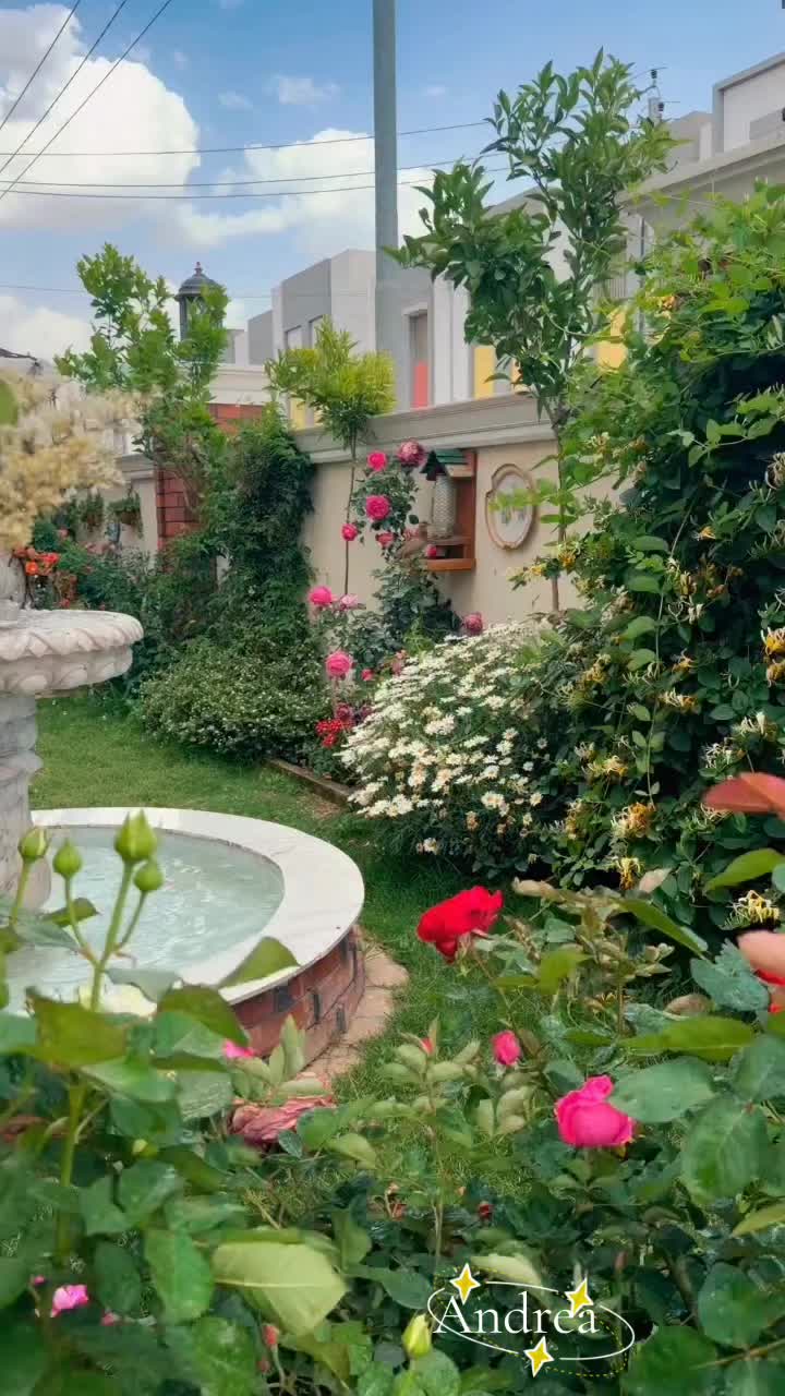 @andreacorsi298