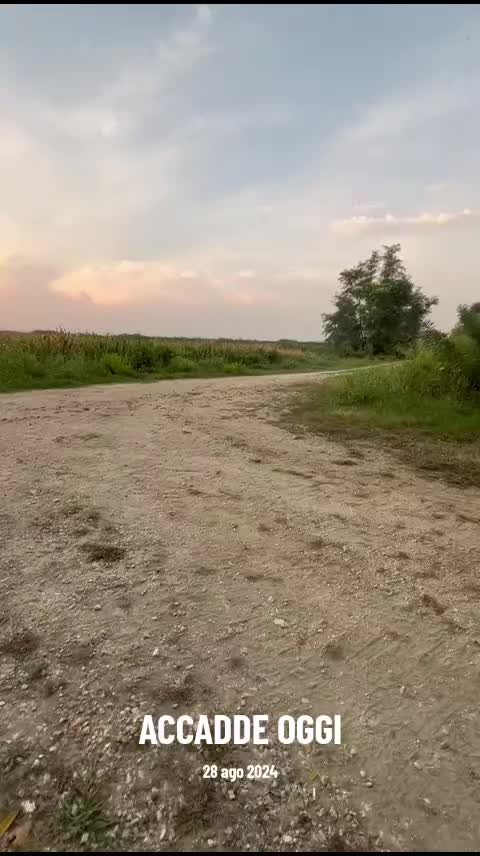 @Nico Agricoltura 🚜