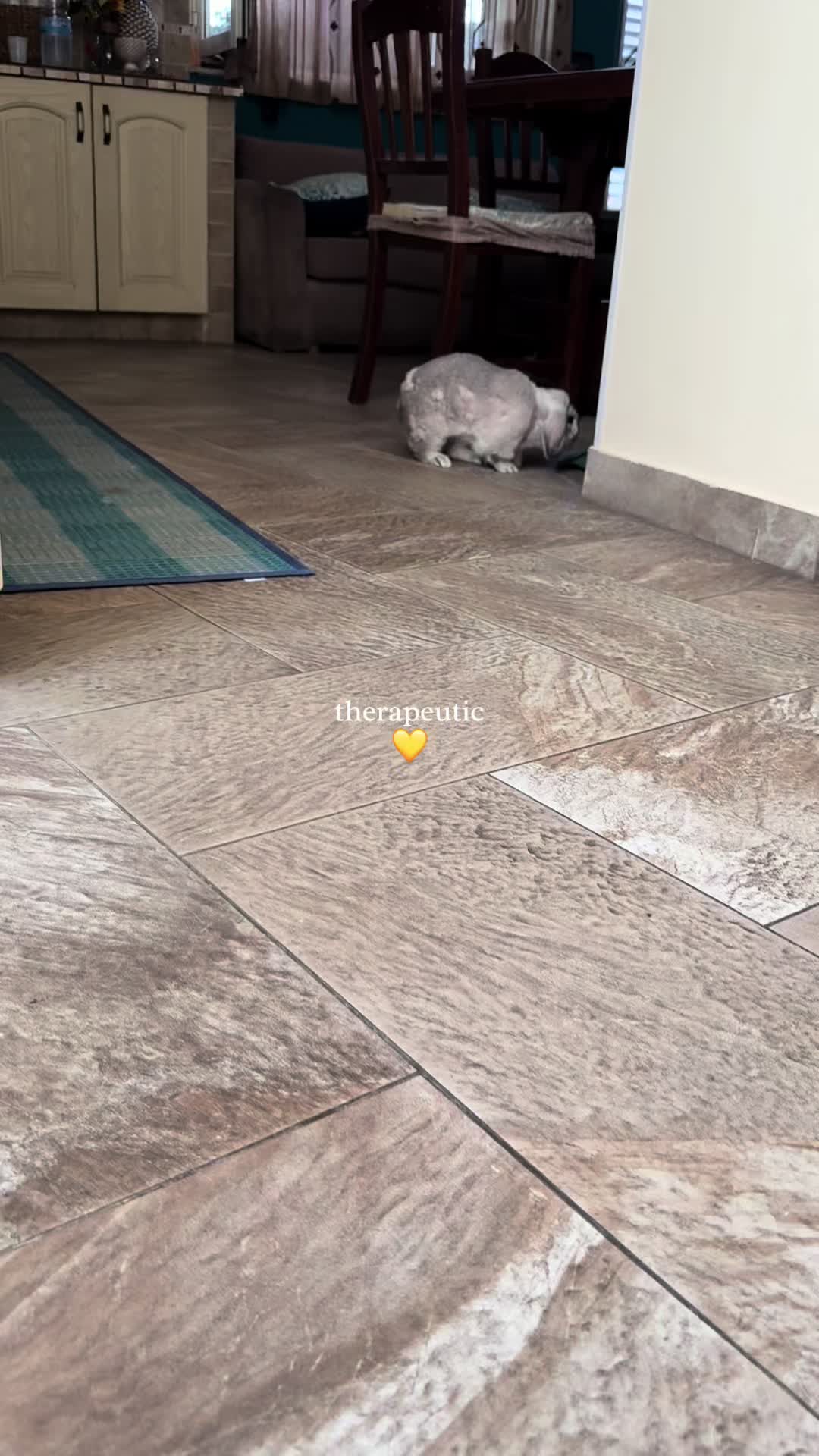 @Lucia Privitera