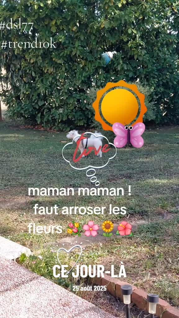 @Marie 👩&zwj;🦳 et Jolicoeur🐶🐾