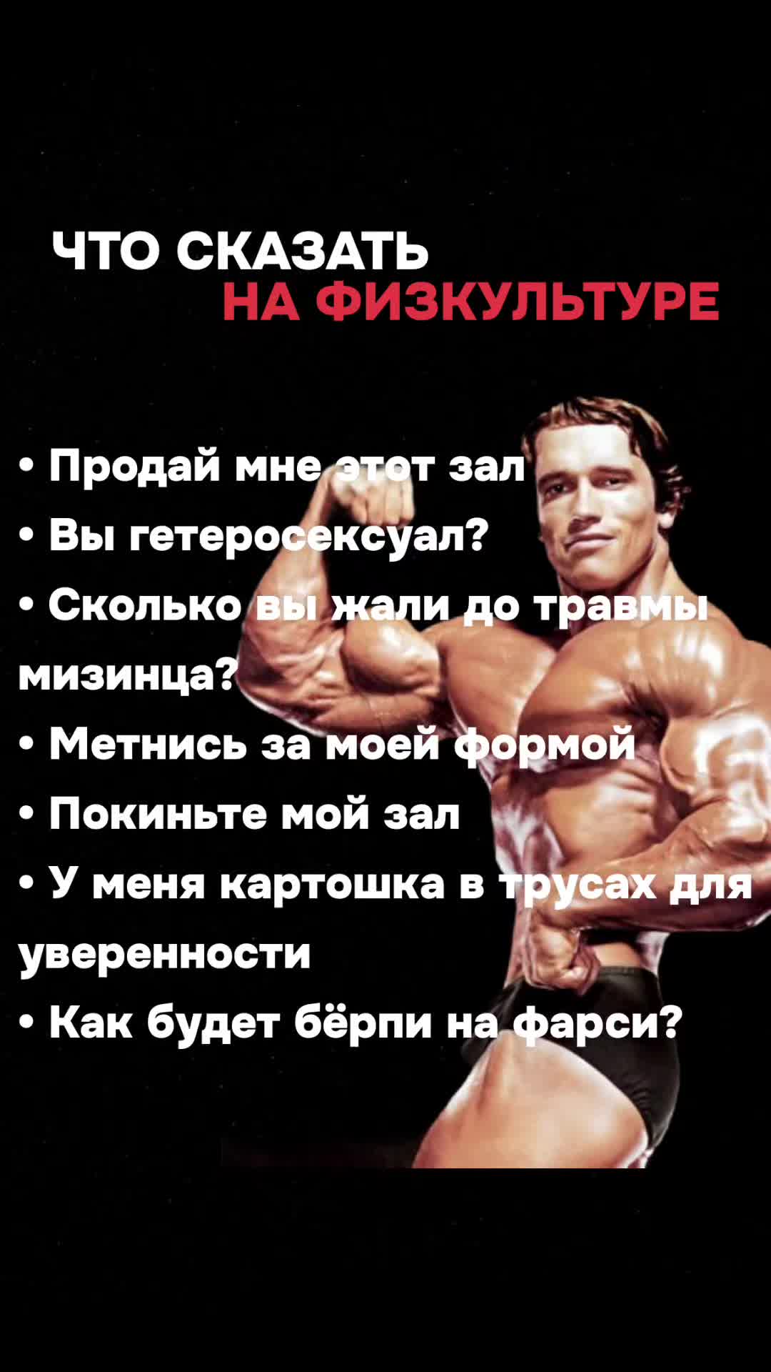 @nice.cat