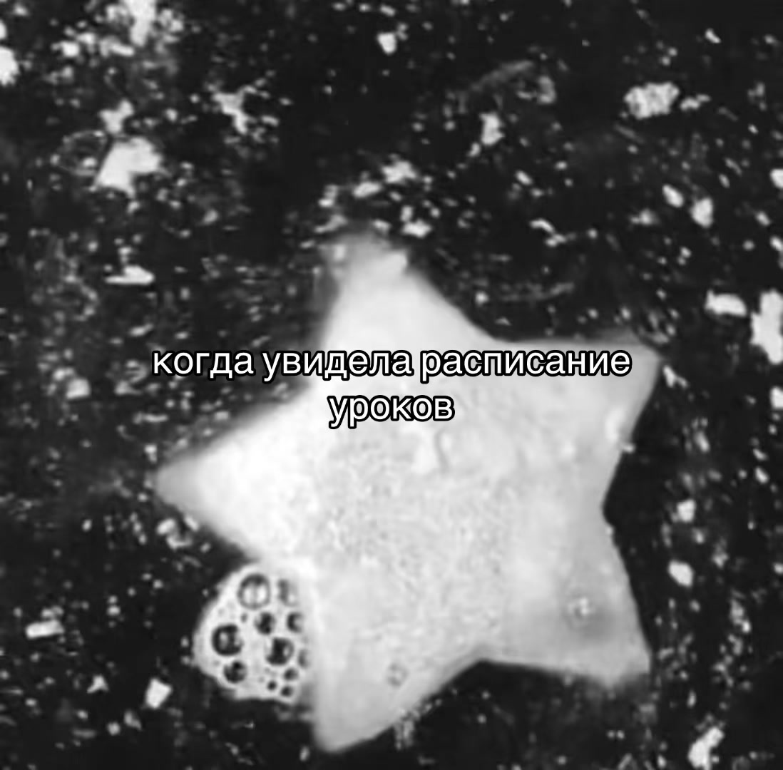 @варька🍥