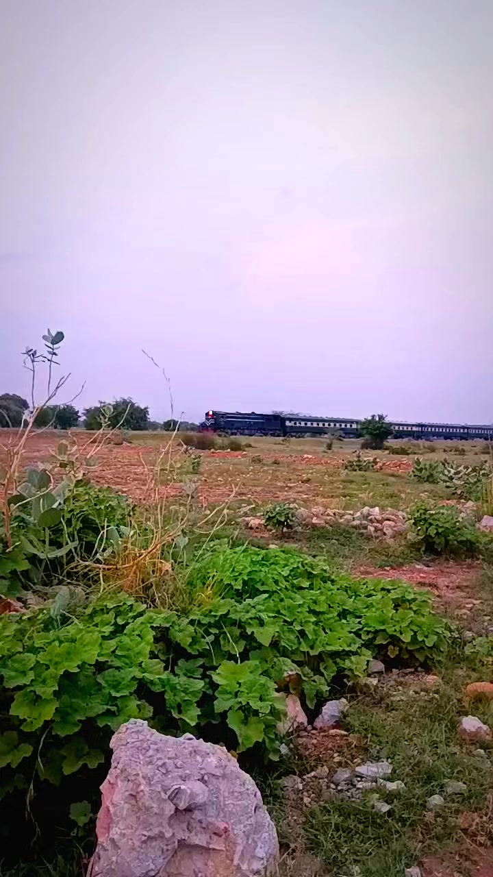 @Nayab Jani