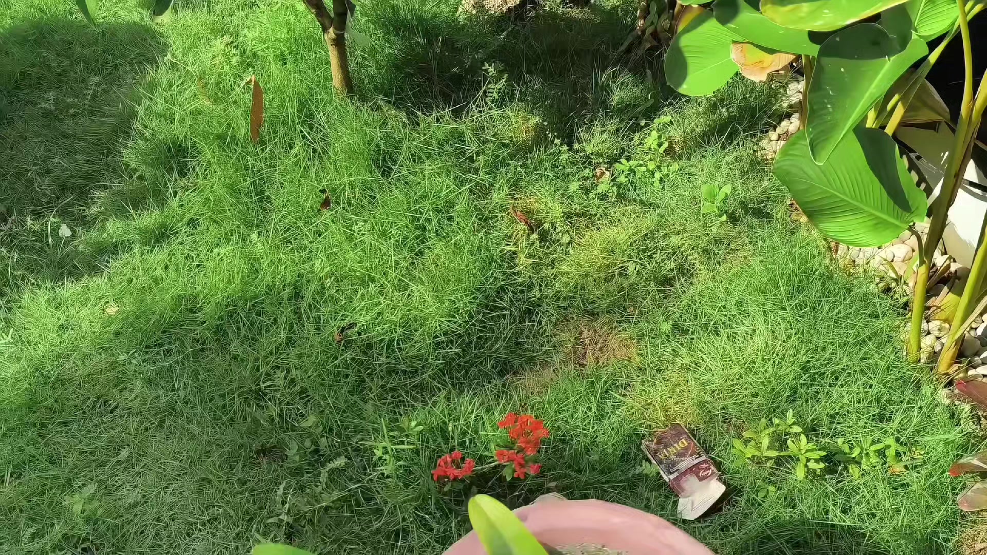 @D4RK