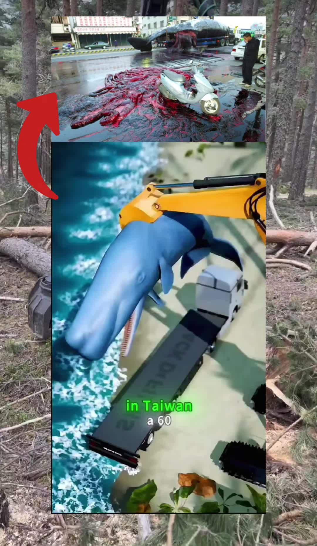 @Bulletproof Alex The GOD!!! ๐