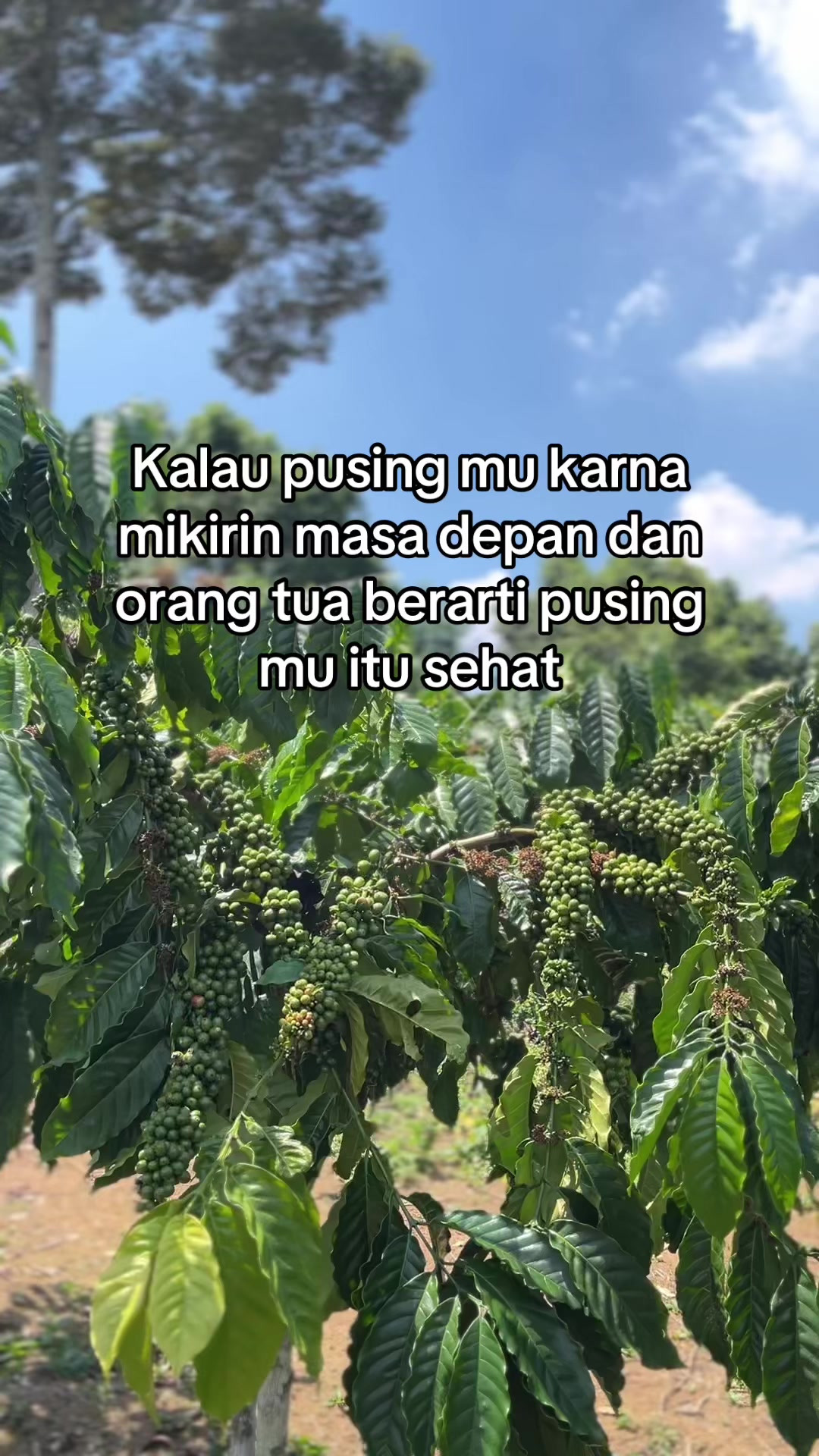 @Prof ☕️ MILENIAL