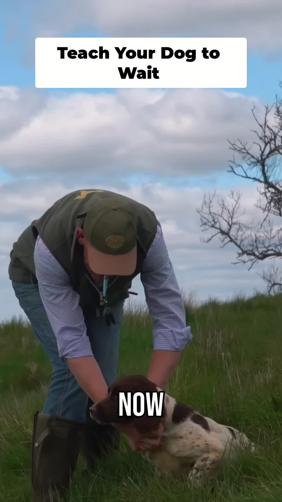 @Mordor Gundogs