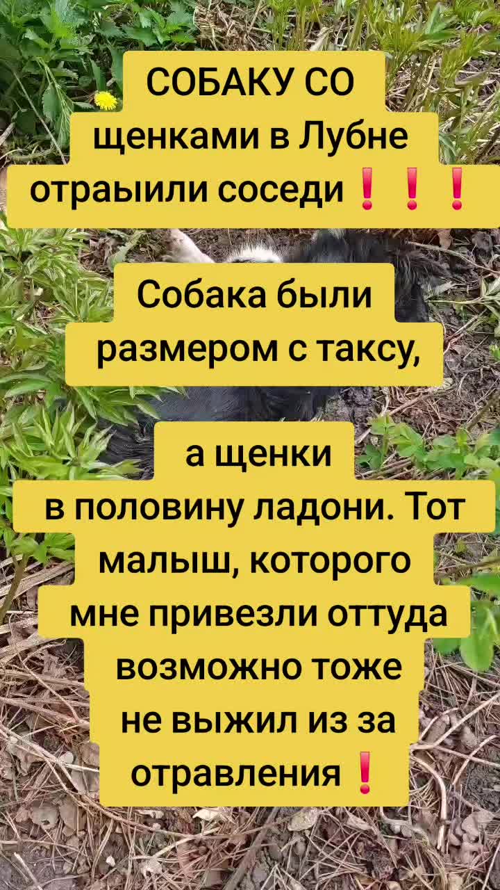 @Julia/Арсения!!