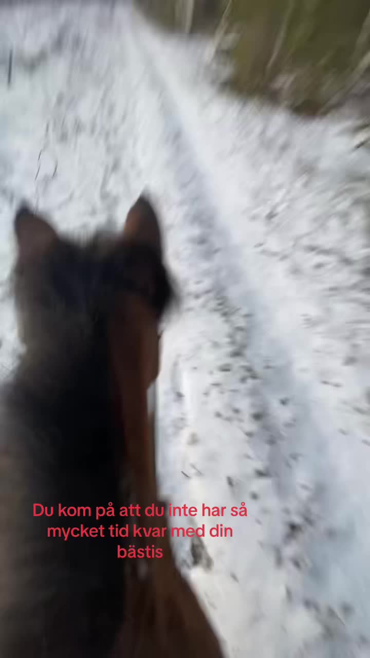@kerstin🐴