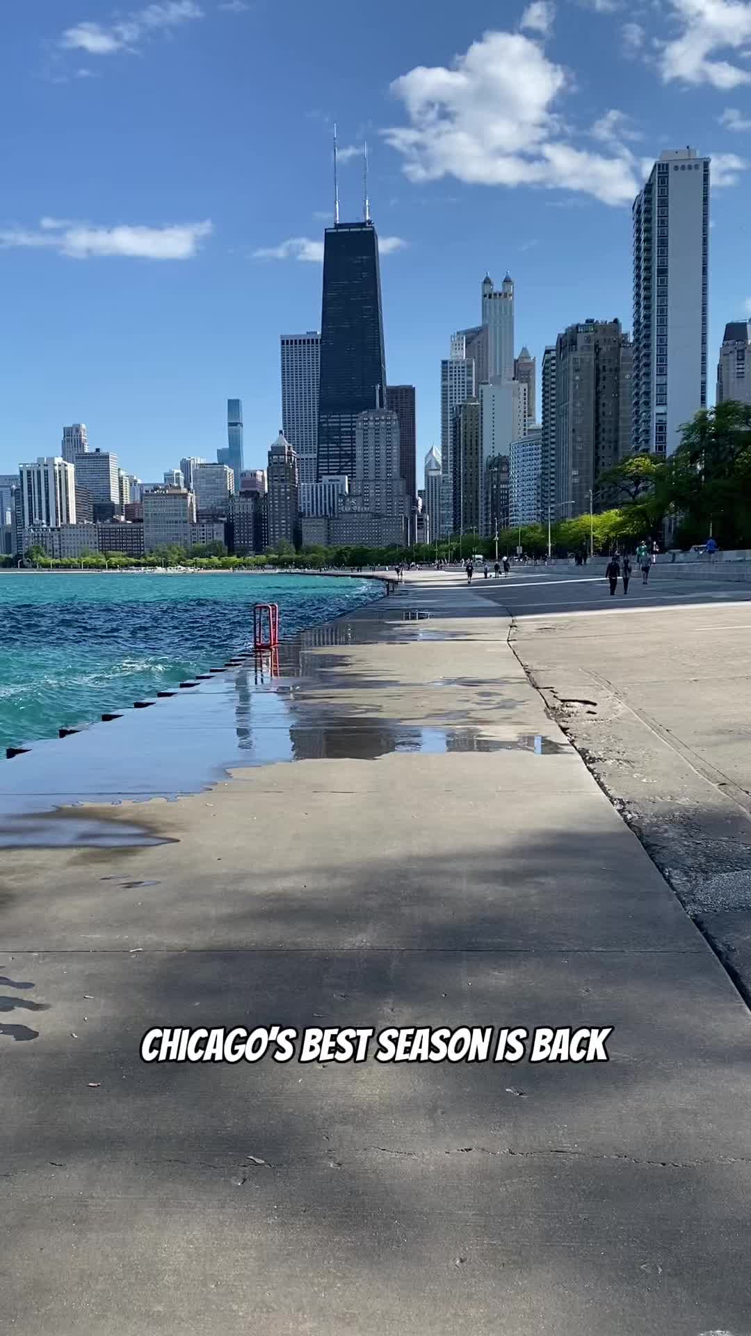 @Pooja Naik | Chicago Lifestyle