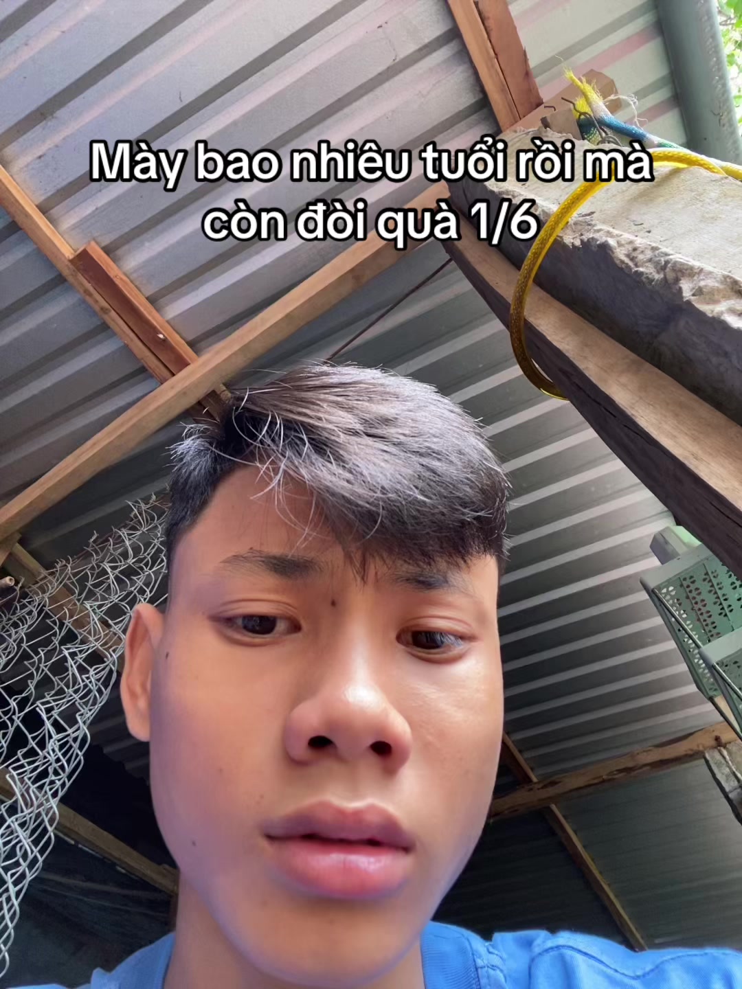 @banddz7
