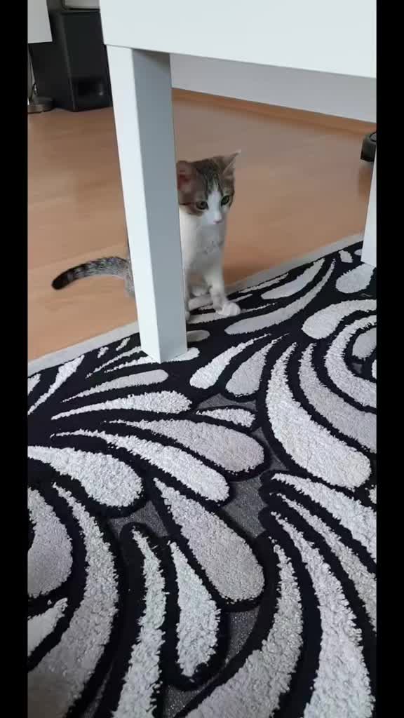 @Minnoş❤💙61