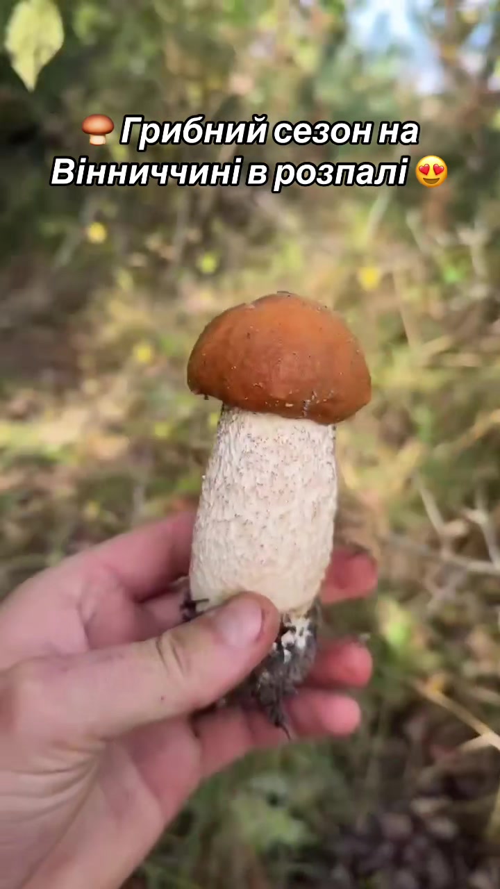 @Вінниця саме зараз