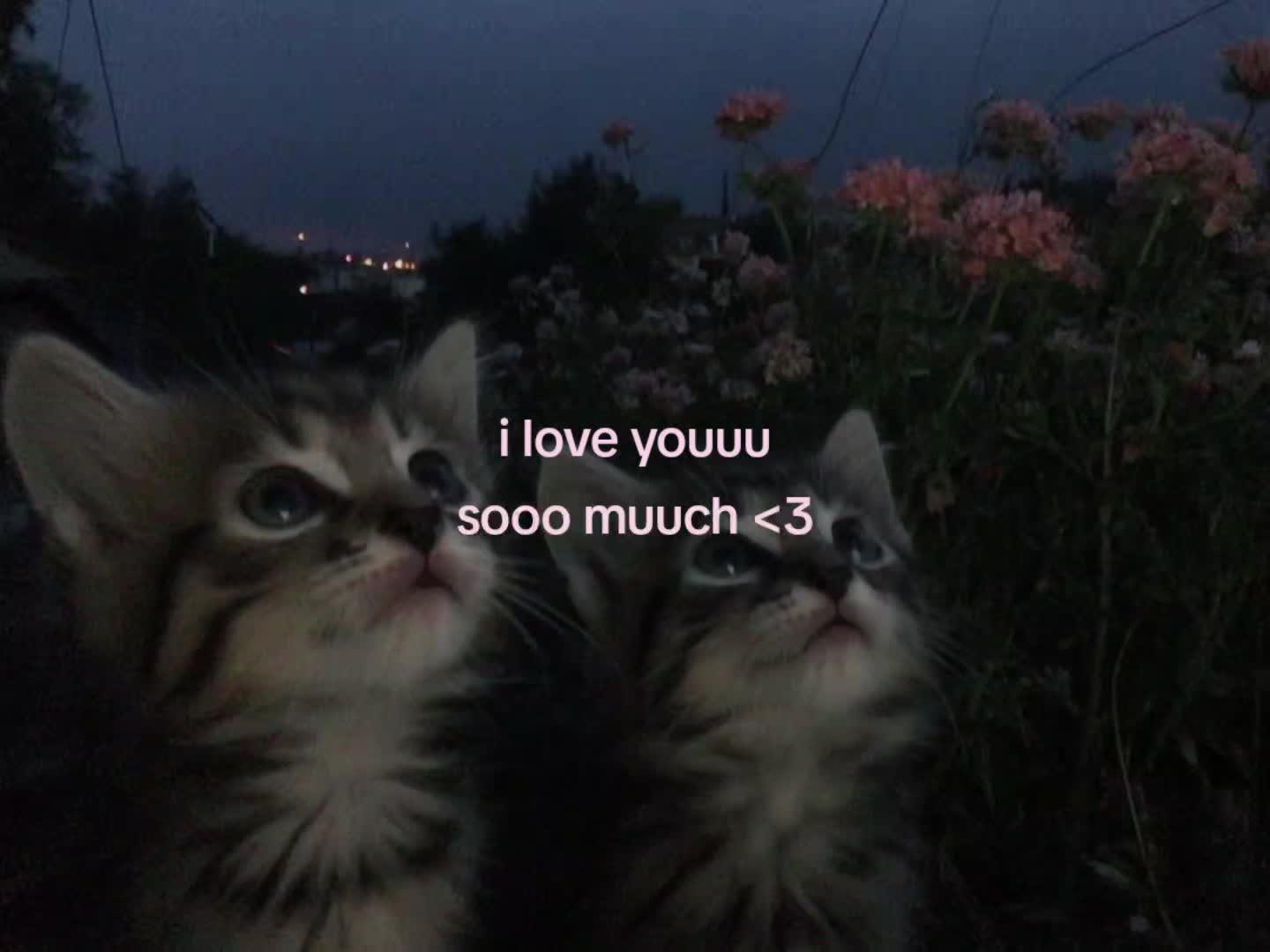 @soulful