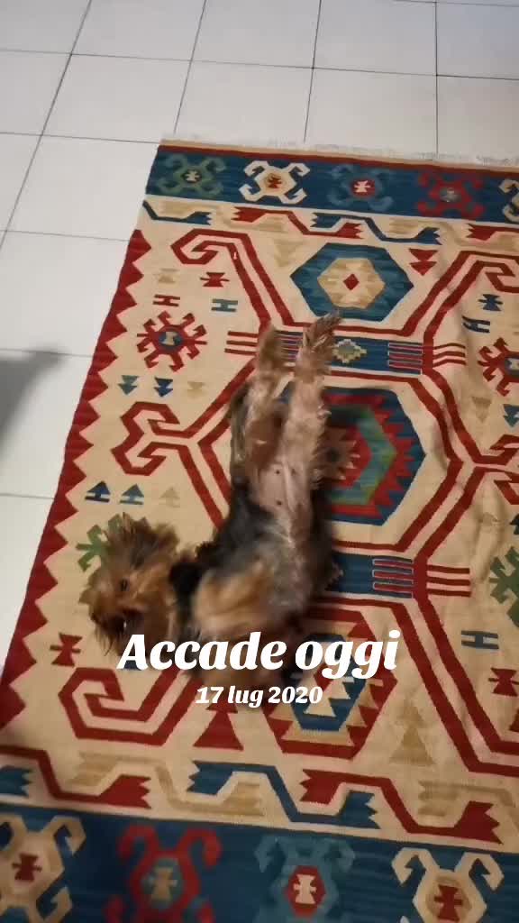 @𝒸𝓇𝒾𝓈𝓉𝒾𝓃𝒶  𝒻𝒶𝒷𝒾ℴ ❤