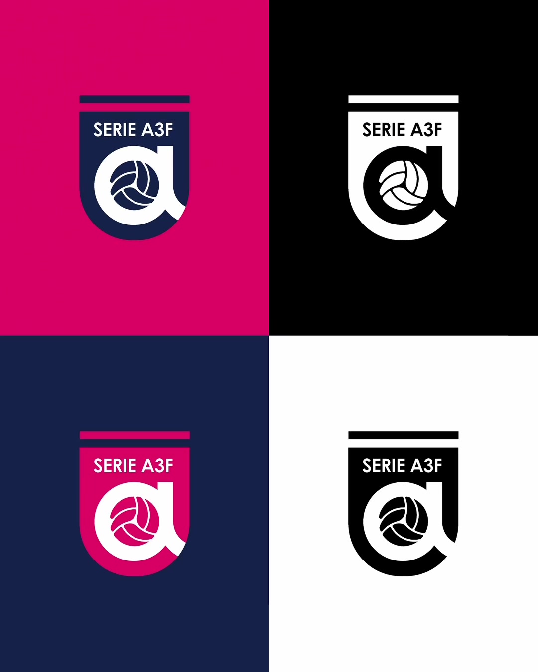 @Federazione Italiana Pallavolo