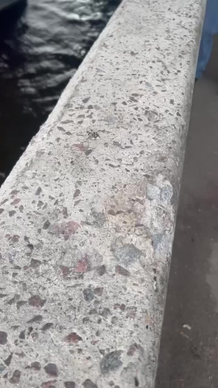 @Evro39🎣