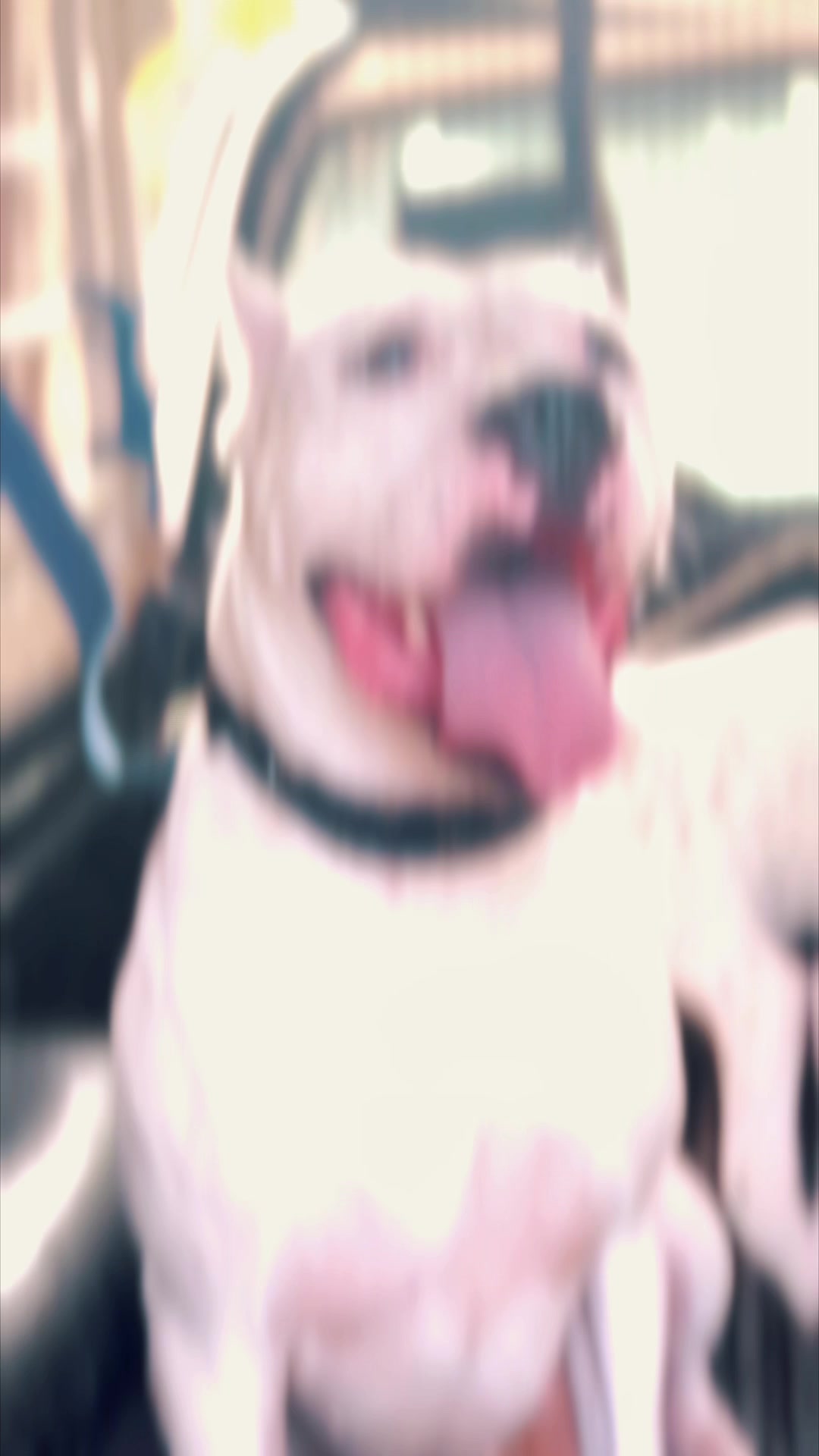 @๐ซ๐ถ๐ฎ๐ถ ๐ฌฬ๐ณ๐ฐ๐ป๐ฌ ๐๐ ๐ฉ๐ฟ