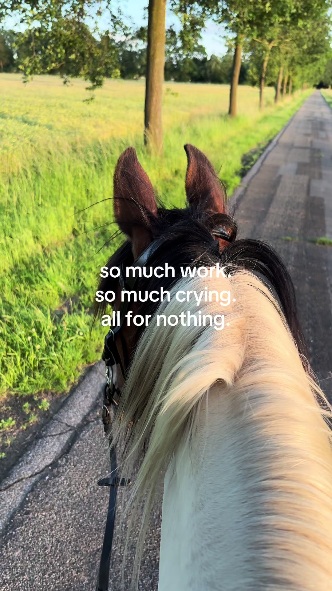 @LENIA&GINGO