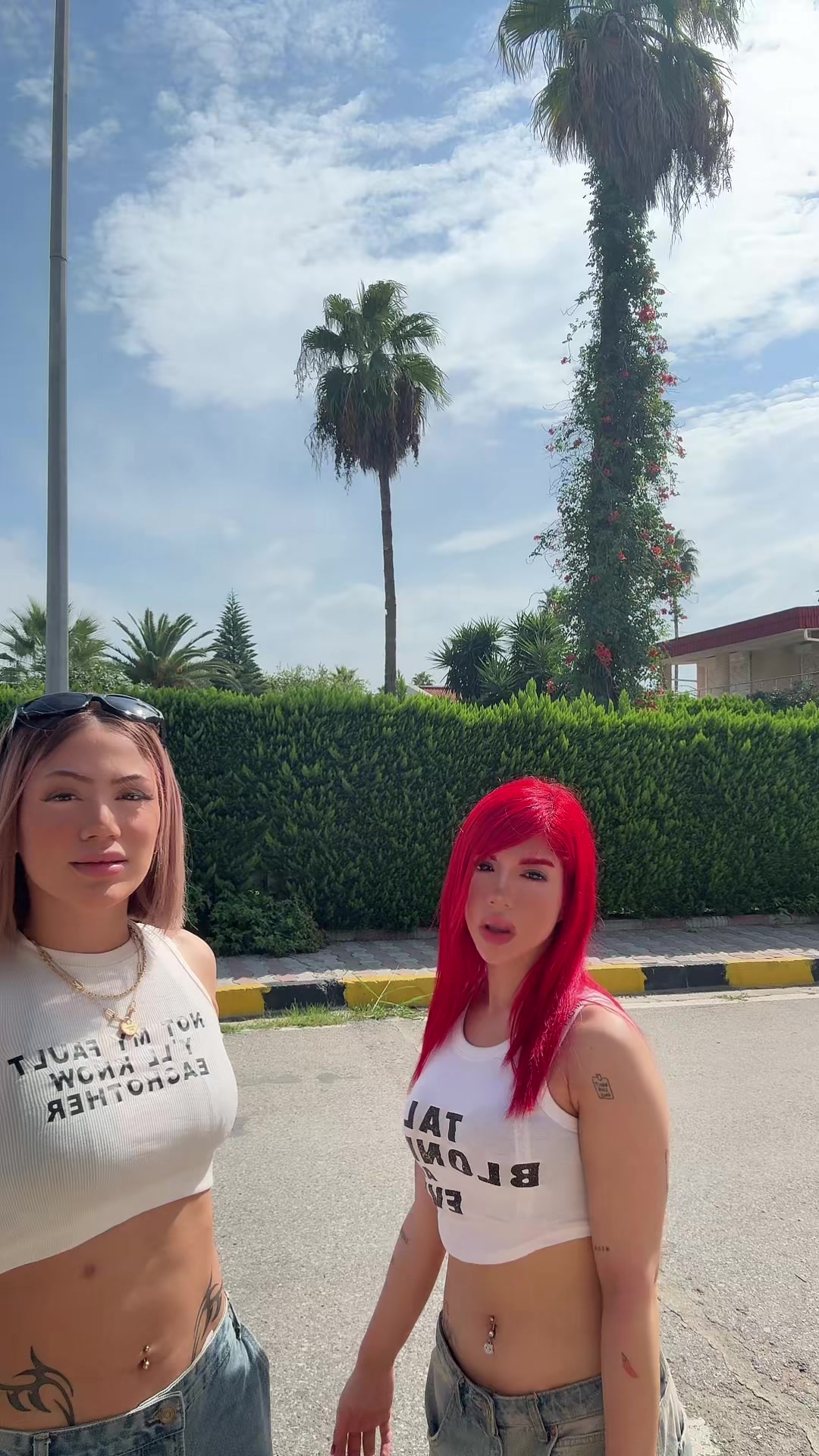 @Melika Maleki