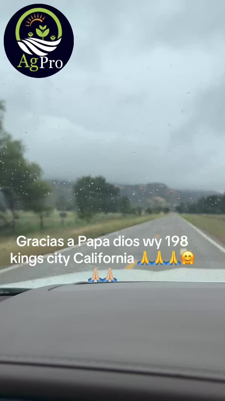 @Piedad Ayala