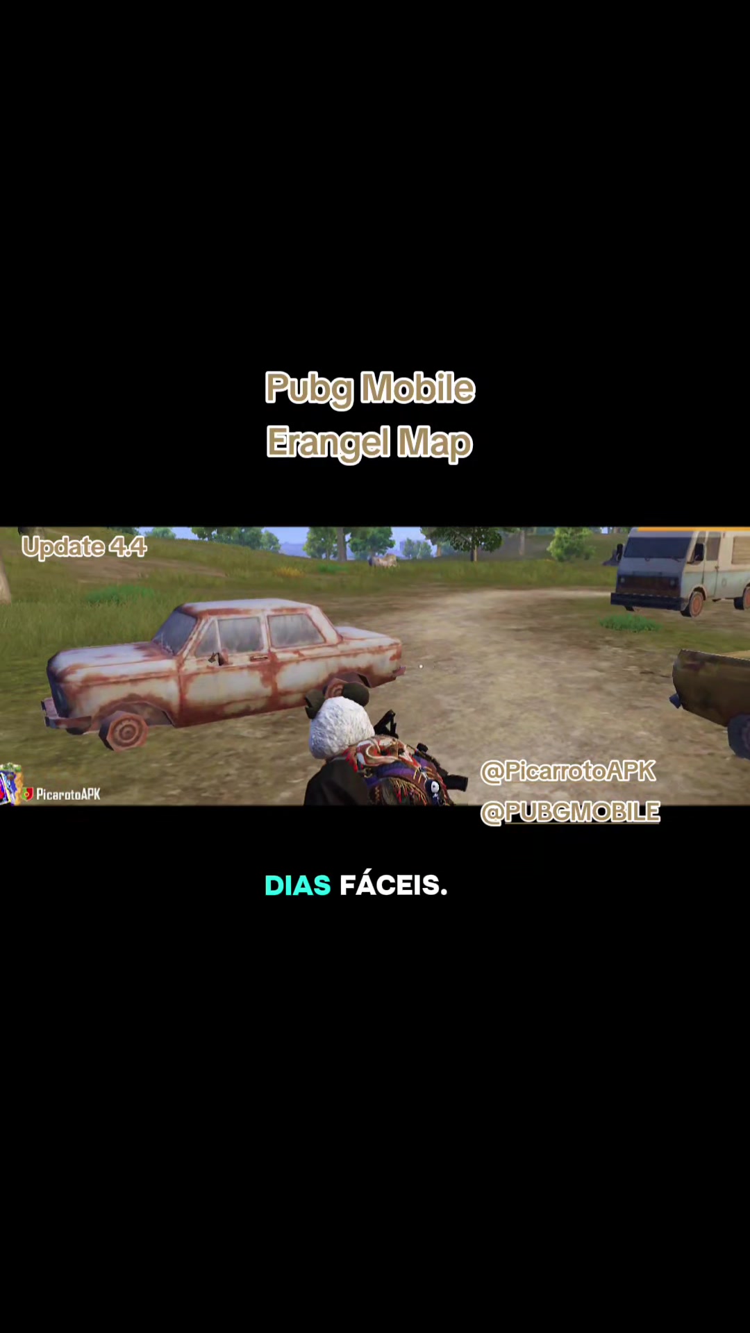 @PicarrotoAPK
