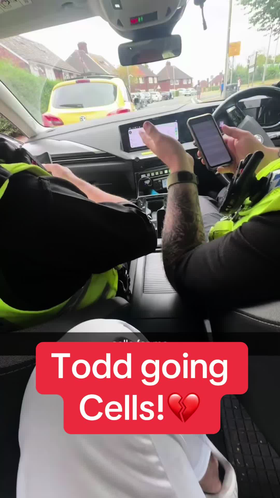 @Todd🐝®