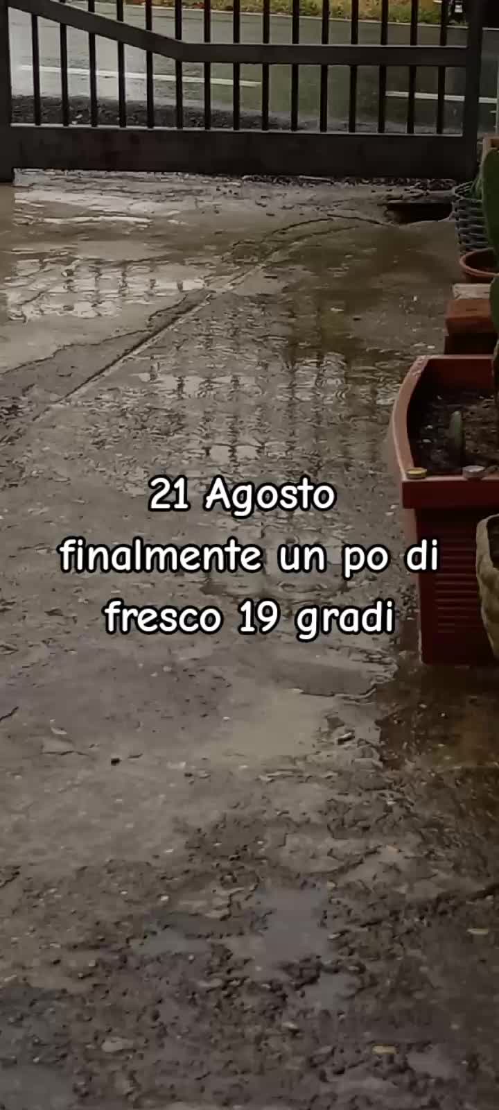 @Tiziana
