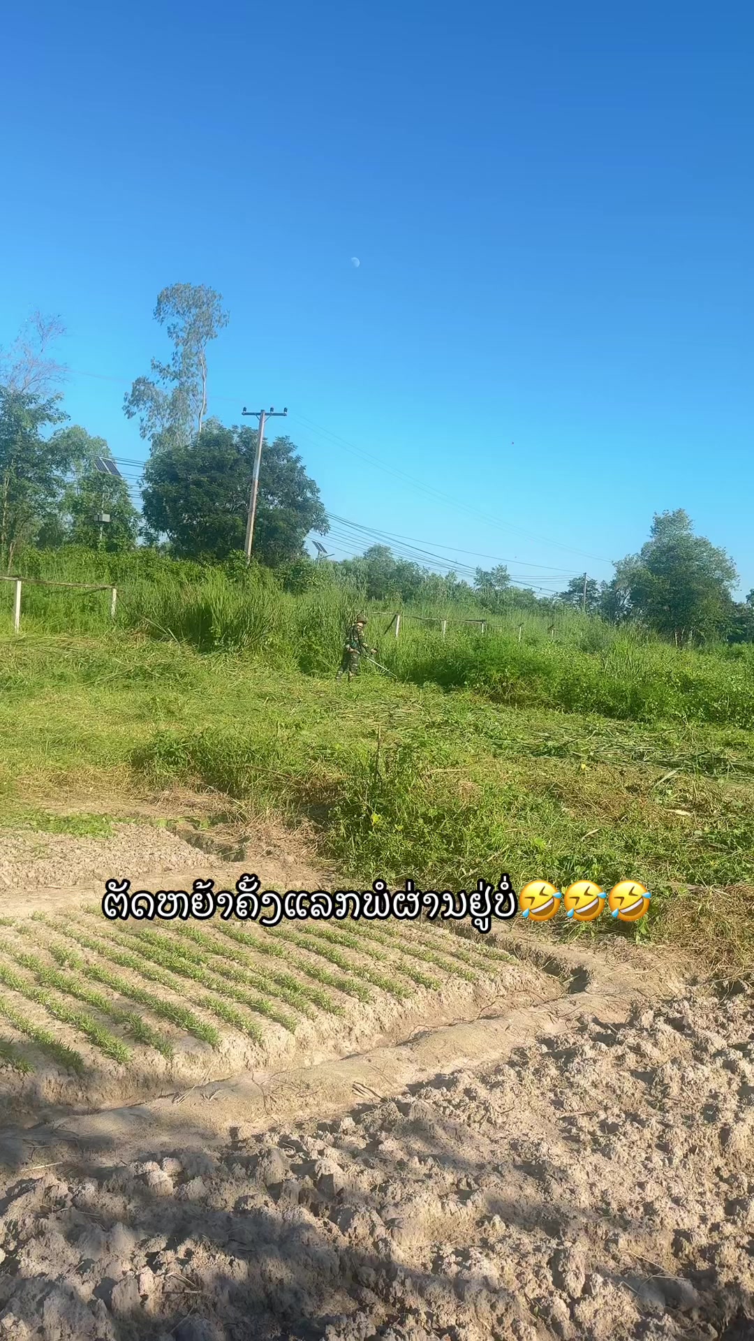 @ລີງນ້ອຍ🐒100K