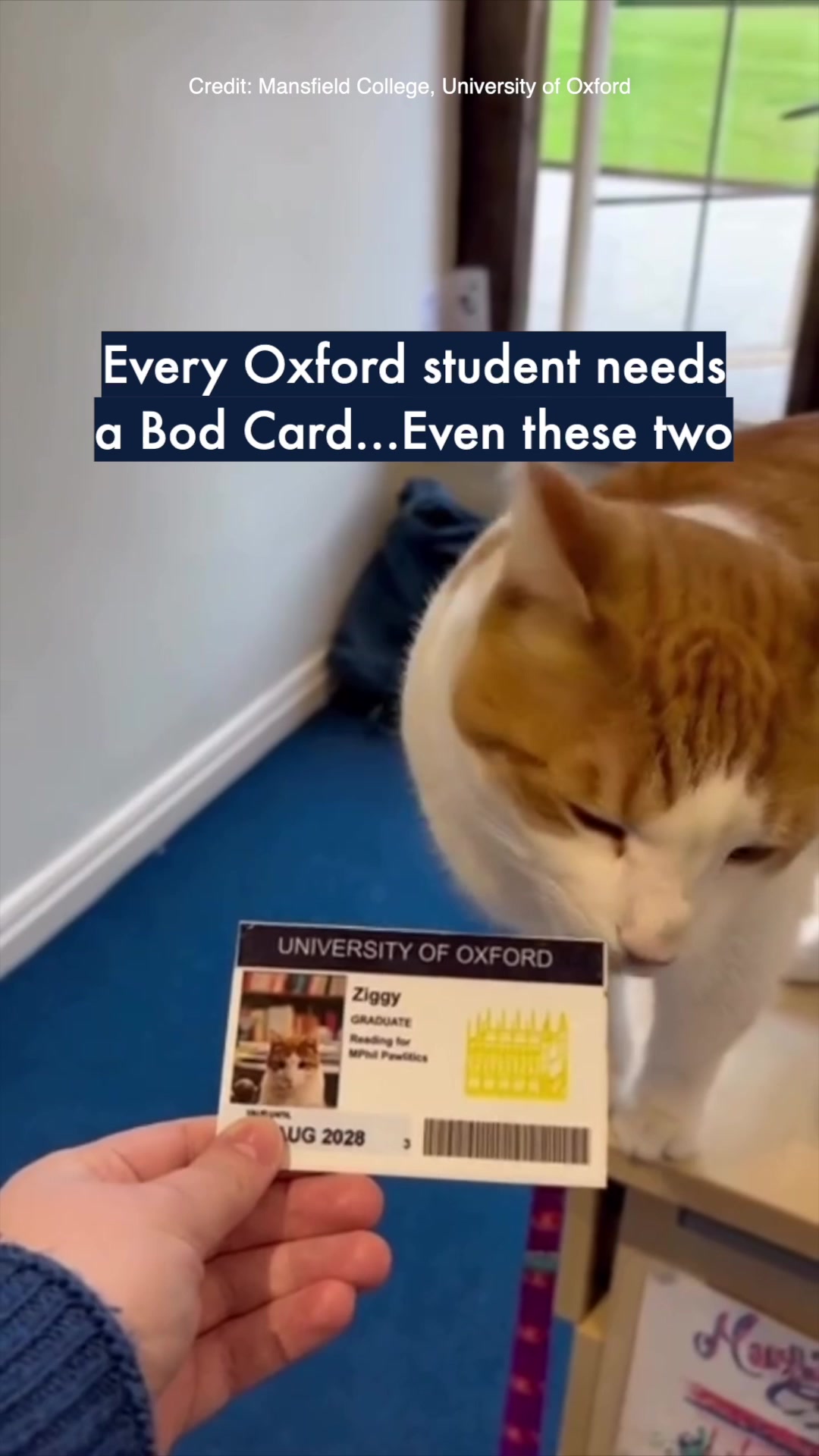 @University of Oxford