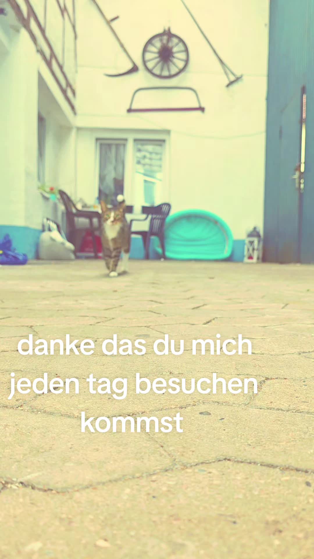 @zottel_maus123