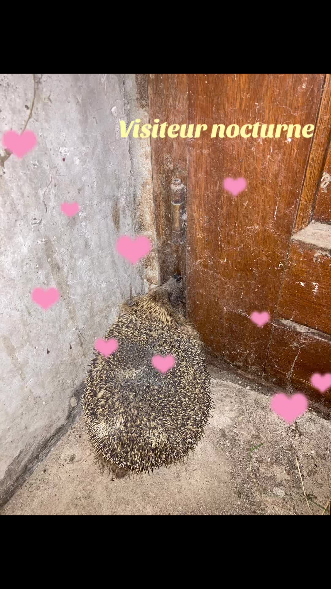 @Aube Épine