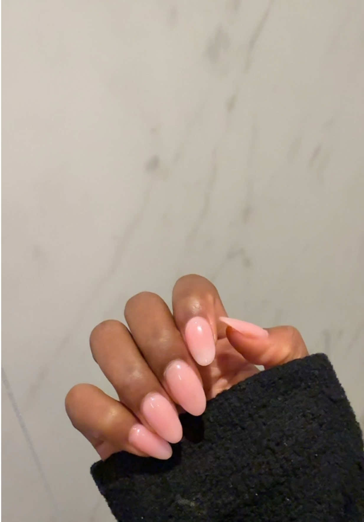 @merveille.ag 🐅
