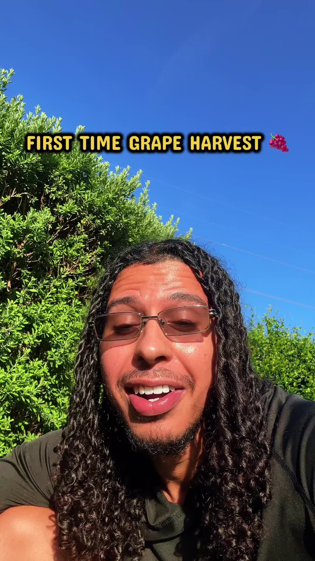 @whaleyswellness
