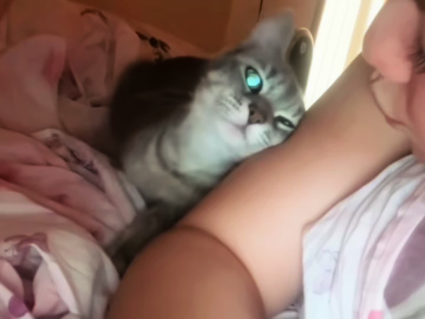 @sabri 🦊
