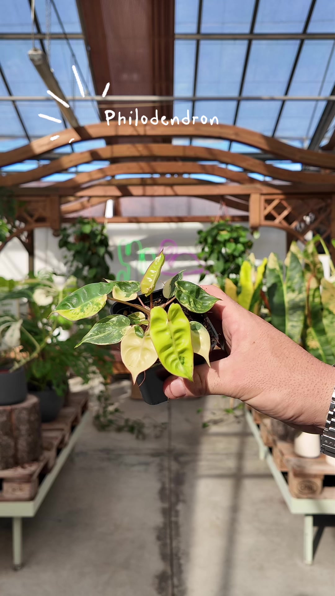 @Garden Center Brioli