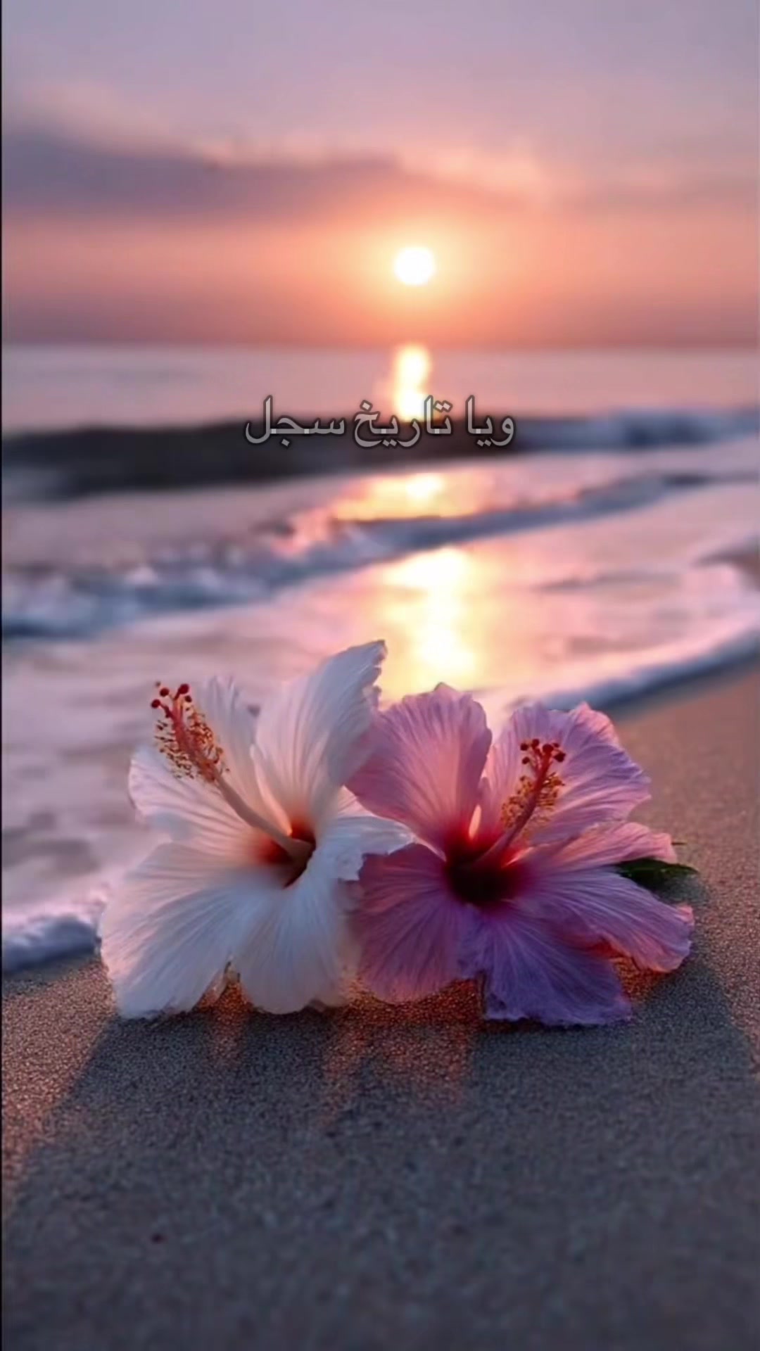@oranaise๐ฉ๐ฟ