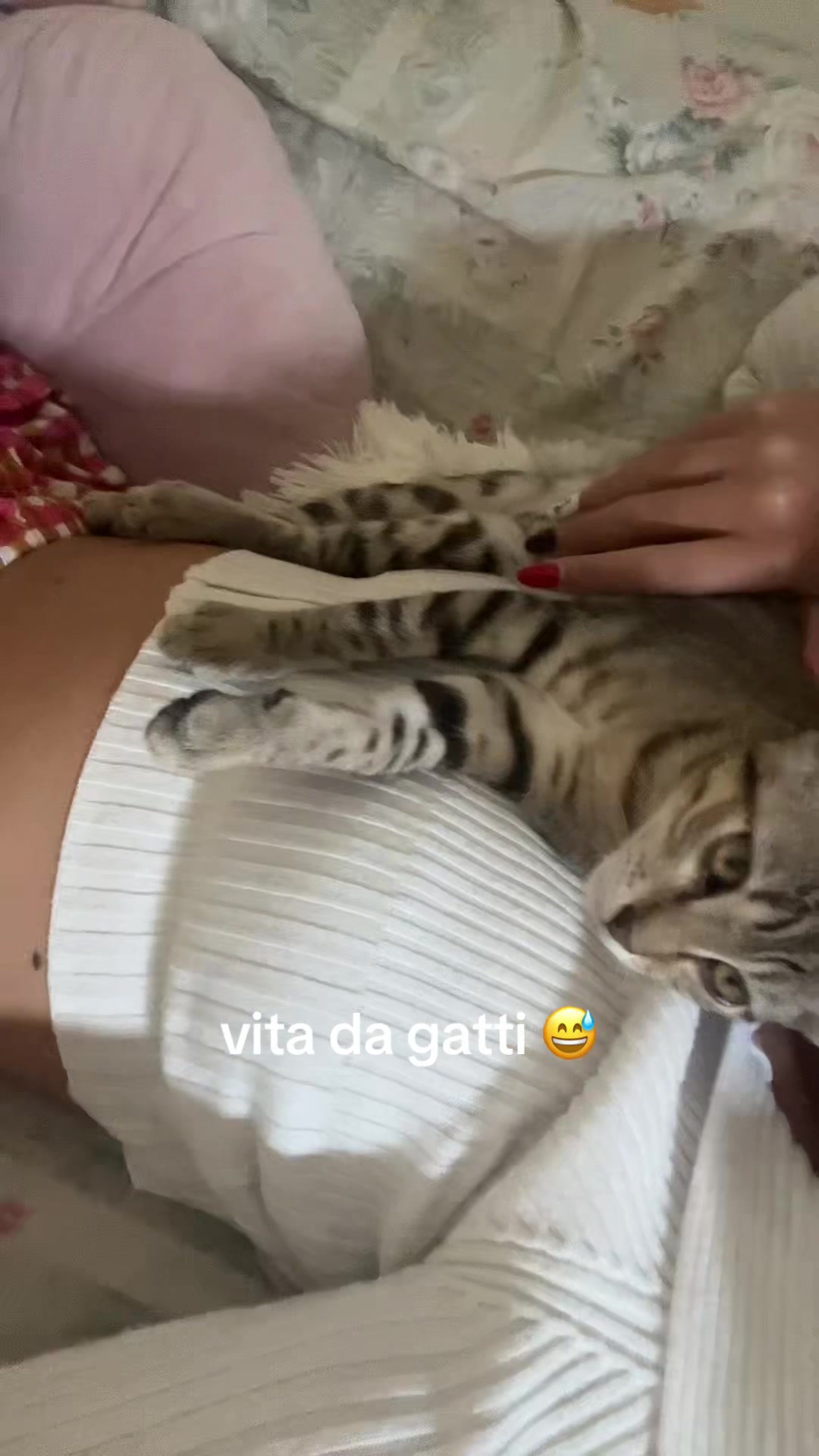 @alice_matteuccii