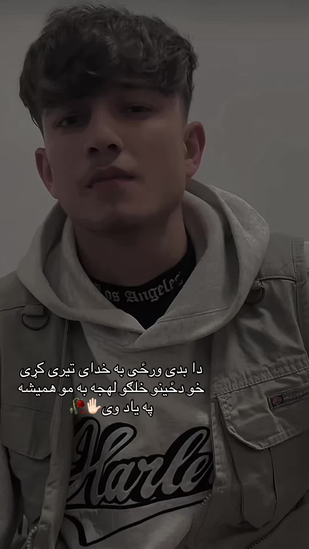 @︵‿୨ 🦅لــیـونـی🦅୧‿︵