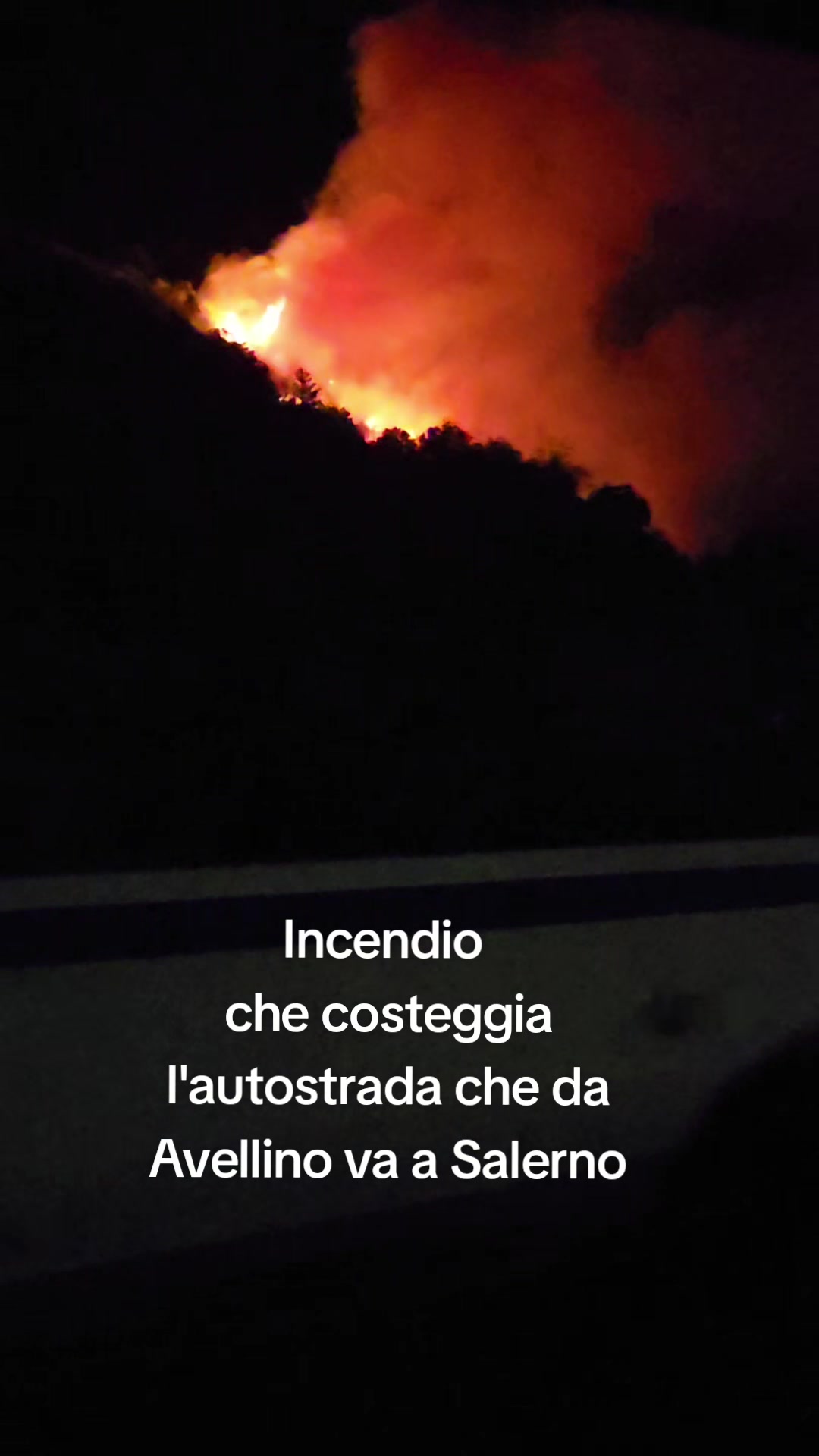 @Giovanna Tarallo ๐ป