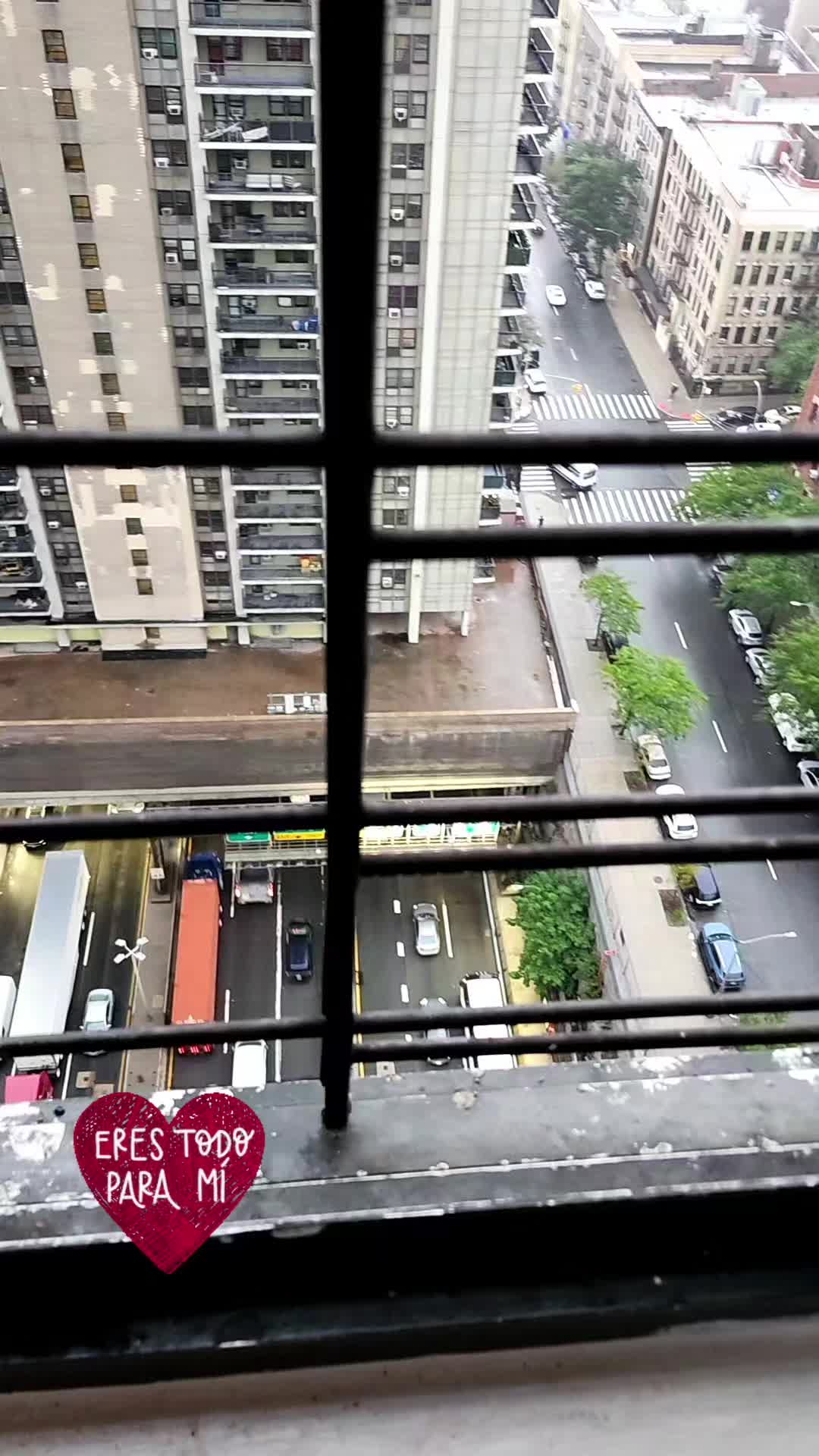 @julio sólido 31
