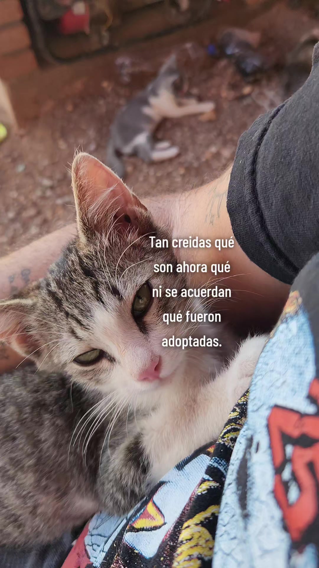 @El De La 450 Negra