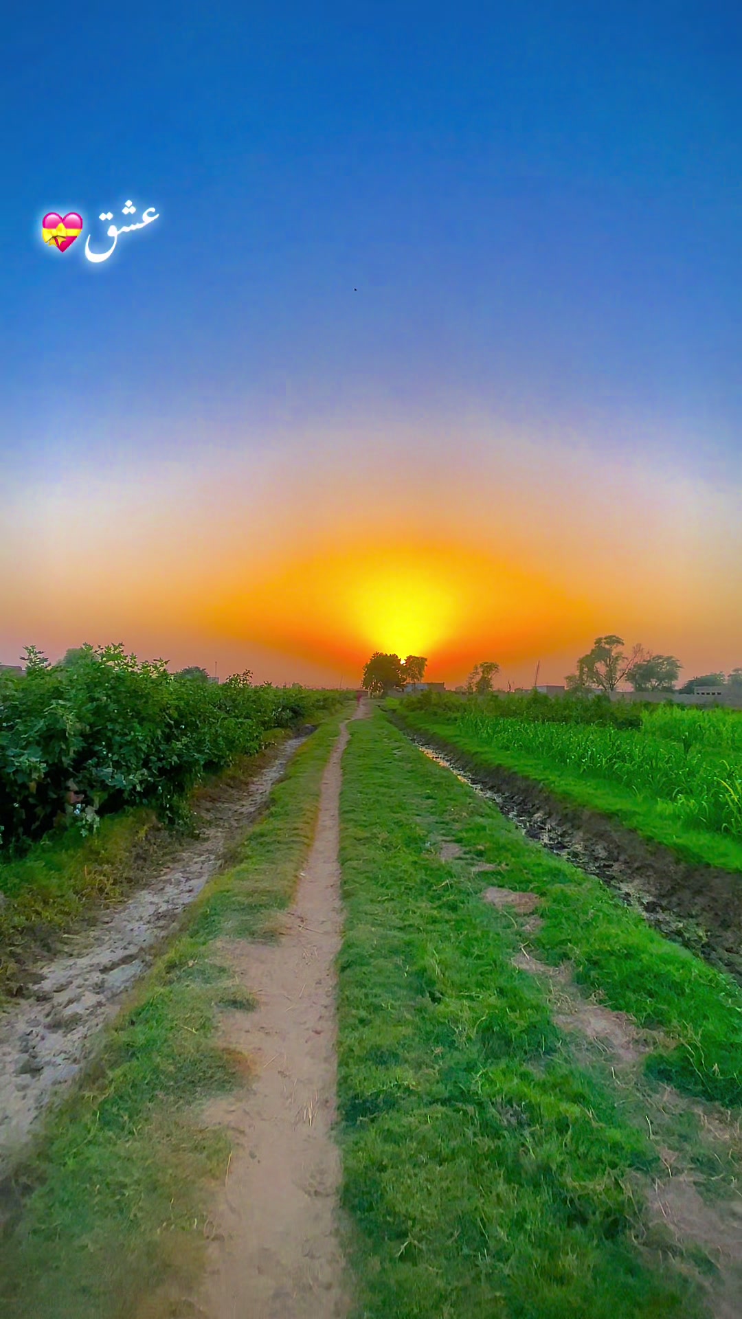 @احمد ہنجرا_بہاولنگر🥰