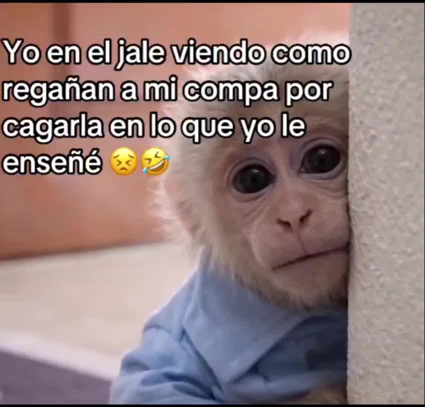 @Ivan Uscanga Olguin