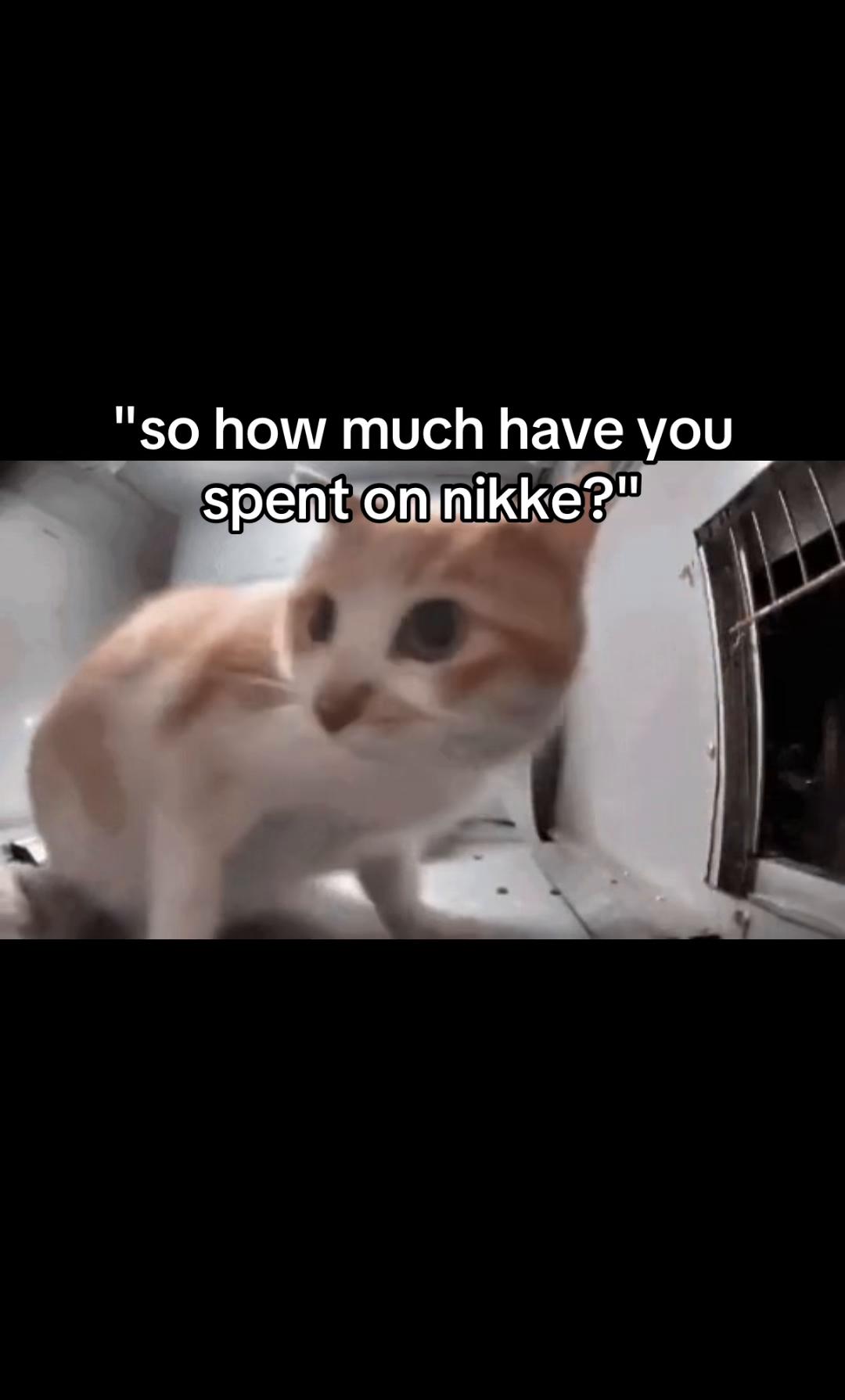 @syuensweatdrinker500