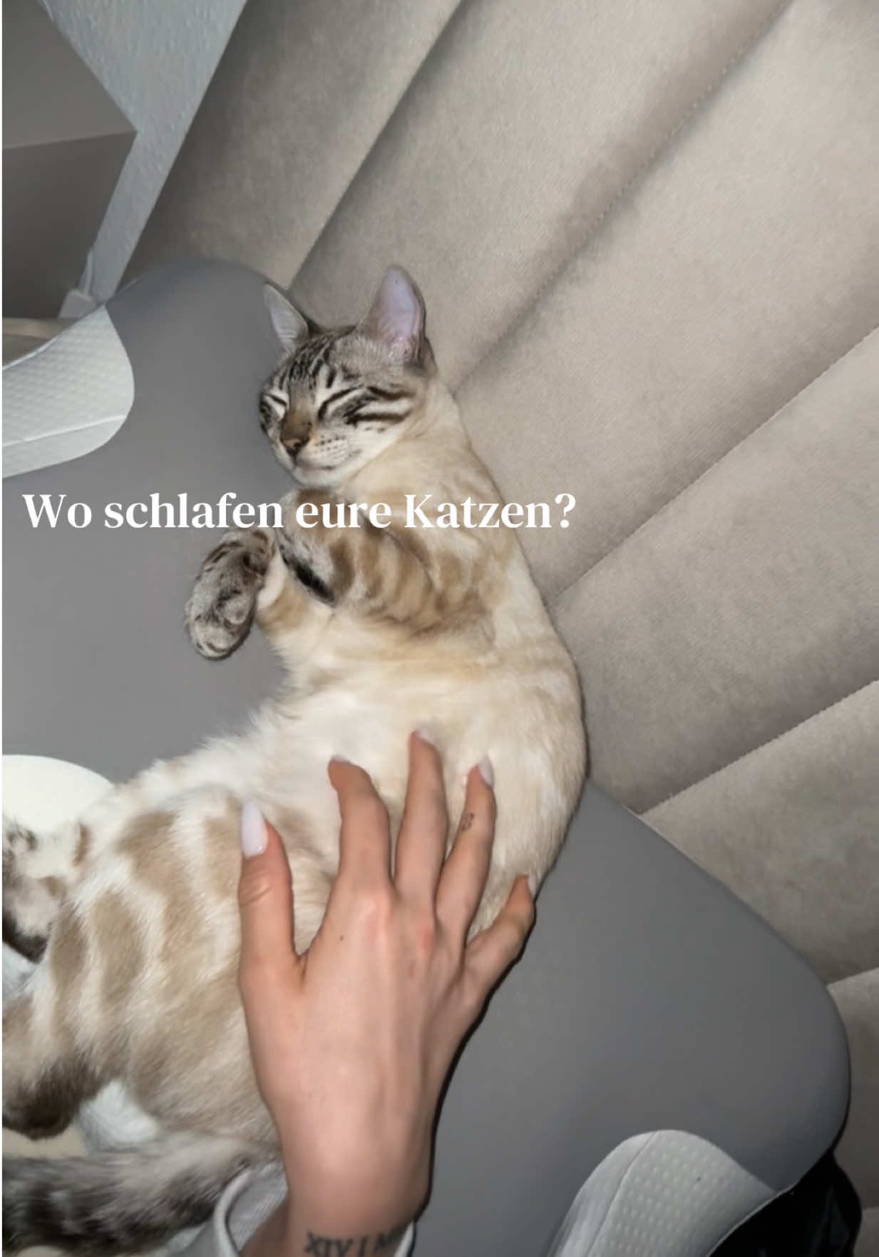 @ALINA 🐆🤎